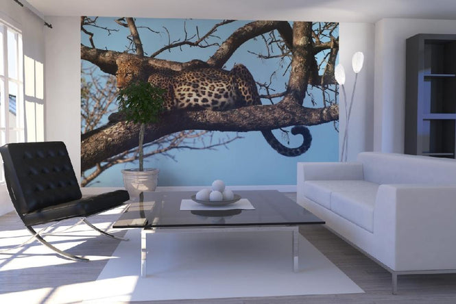 PHOTOWALL / Leopard in Tree (e10004)