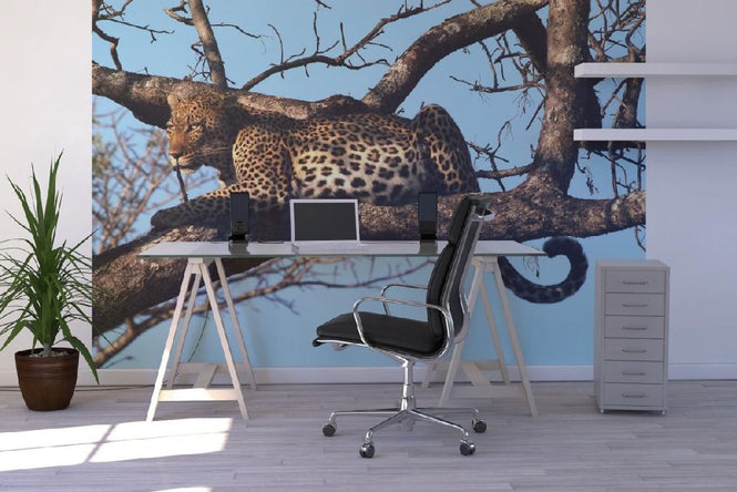 PHOTOWALL / Leopard in Tree (e10004)