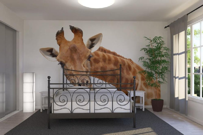 PHOTOWALL / Giraffe (e10075)
