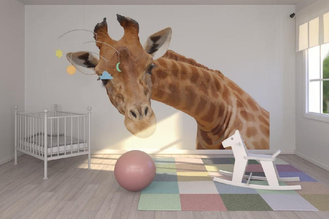 PHOTOWALL / Giraffe (e10075)