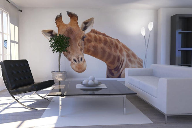 PHOTOWALL / Giraffe (e10075)