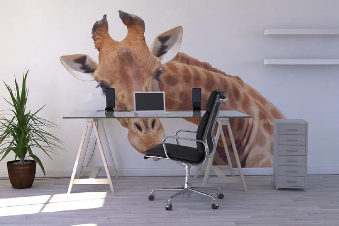 PHOTOWALL / Giraffe (e10075)