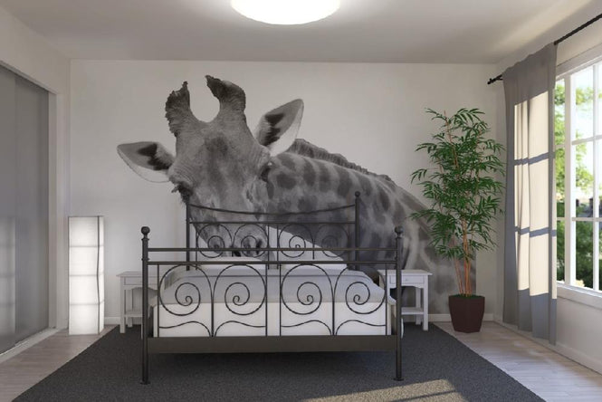 PHOTOWALL / Giraffe - b/w (e10076)