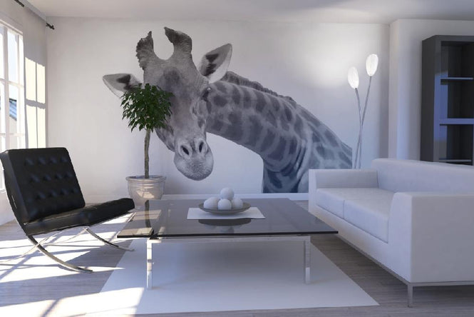 PHOTOWALL / Giraffe - b/w (e10076)