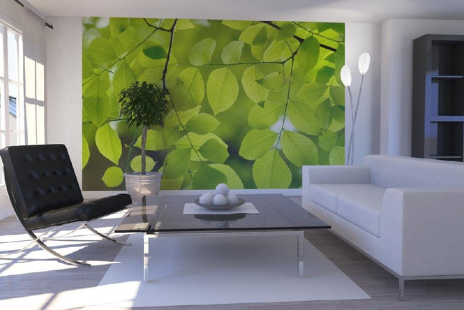 PHOTOWALL / Yellow Wood Green Leaves (e10081)