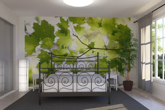 PHOTOWALL / Green Leaf (e10103)