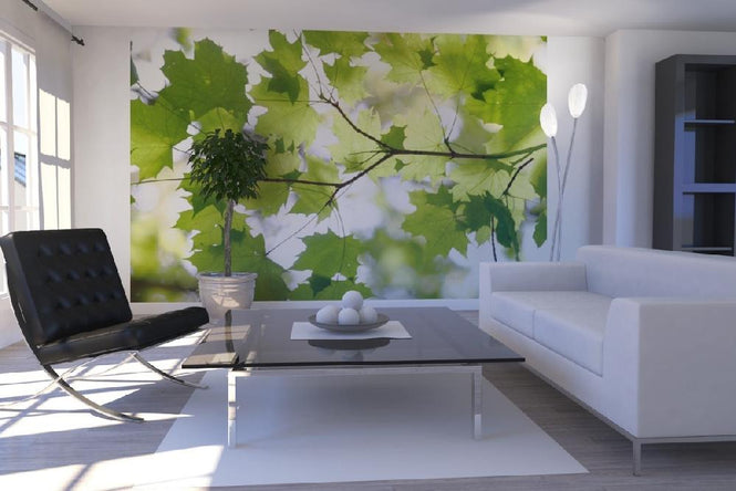 PHOTOWALL / Green Leaf (e10103)