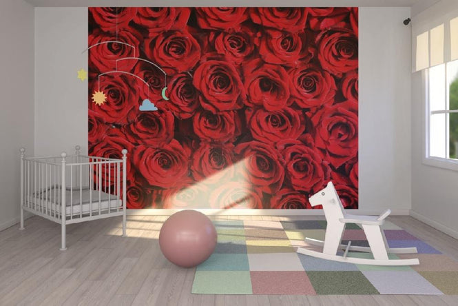 PHOTOWALL / Red roses (e10118)
