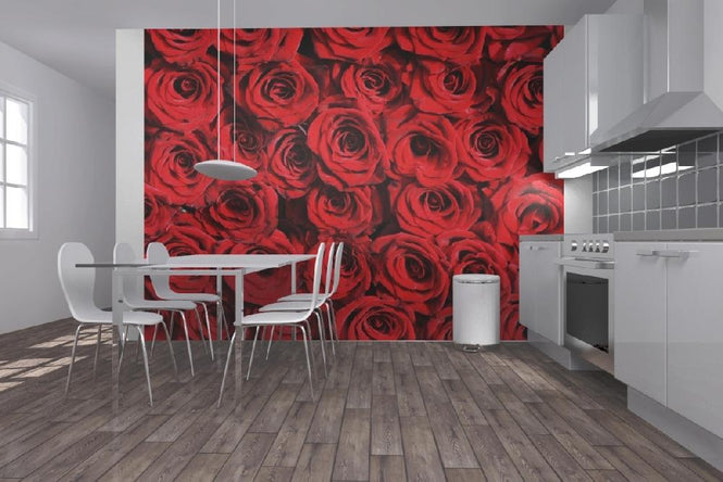 PHOTOWALL / Red roses (e10118)