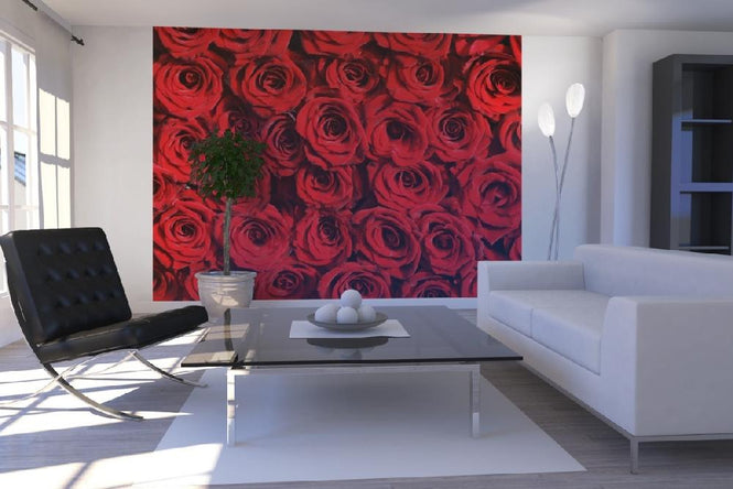 PHOTOWALL / Red roses (e10118)