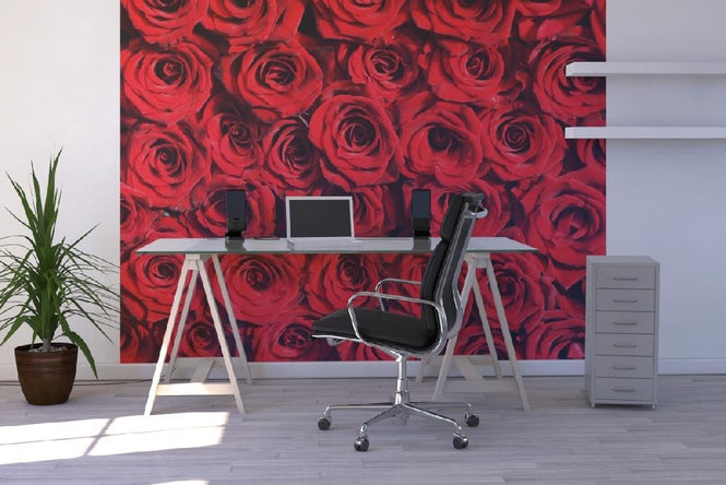 PHOTOWALL / Red roses (e10118)