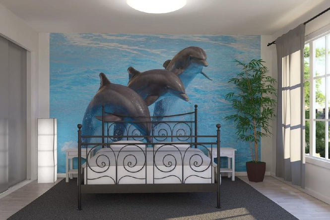 PHOTOWALL / Bottlenose Dolphins (e9143)