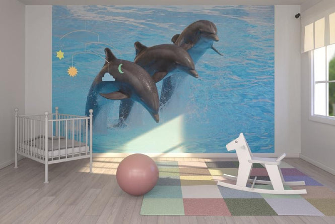 PHOTOWALL / Bottlenose Dolphins (e9143)