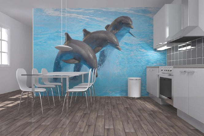 PHOTOWALL / Bottlenose Dolphins (e9143)