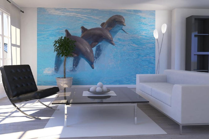 PHOTOWALL / Bottlenose Dolphins (e9143)