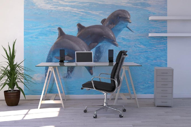 PHOTOWALL / Bottlenose Dolphins (e9143)