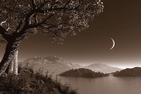 PHOTOWALL / Romantic Night - Sepia (e1397)