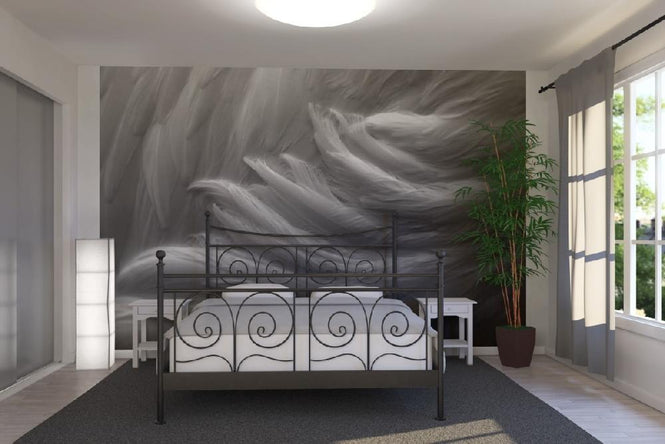 PHOTOWALL / Feather (e1456)