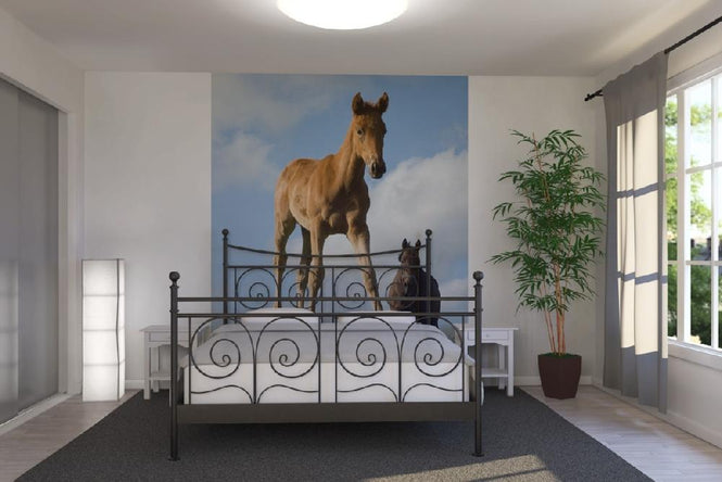 PHOTOWALL / Young Foal (e1502)
