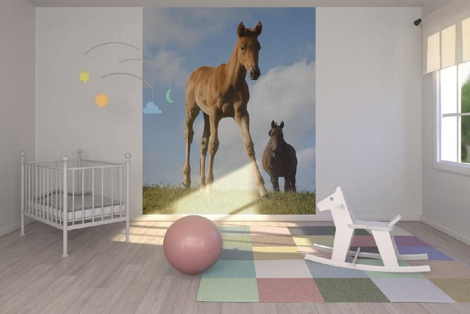 PHOTOWALL / Young Foal (e1502)