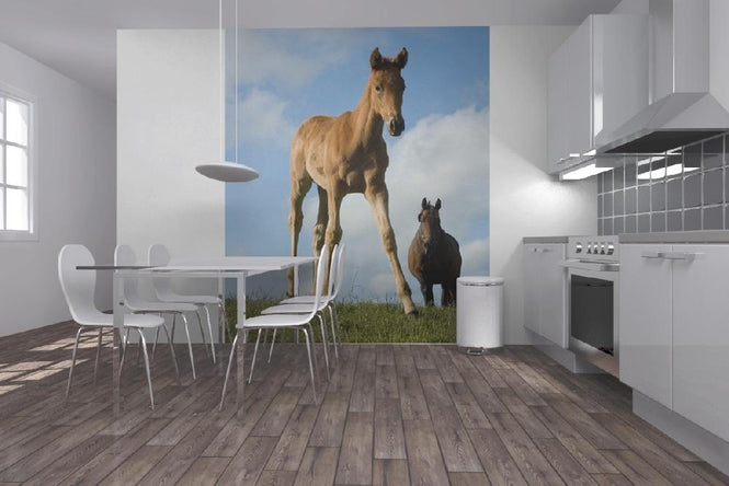 PHOTOWALL / Young Foal (e1502)
