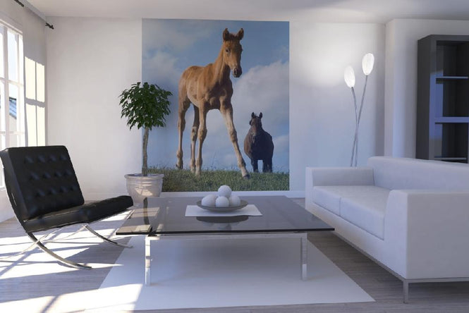 PHOTOWALL / Young Foal (e1502)