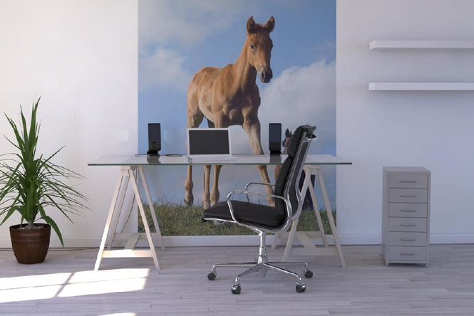 PHOTOWALL / Young Foal (e1502)