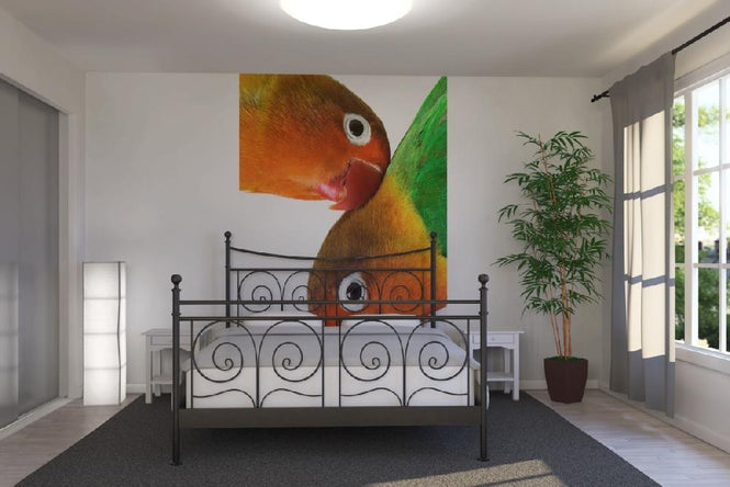 PHOTOWALL / Pair of Lovebirds (e1576)