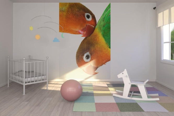 PHOTOWALL / Pair of Lovebirds (e1576)