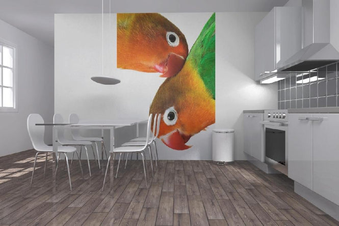 PHOTOWALL / Pair of Lovebirds (e1576)
