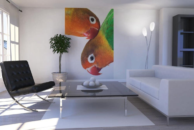 PHOTOWALL / Pair of Lovebirds (e1576)