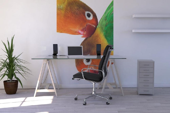 PHOTOWALL / Pair of Lovebirds (e1576)