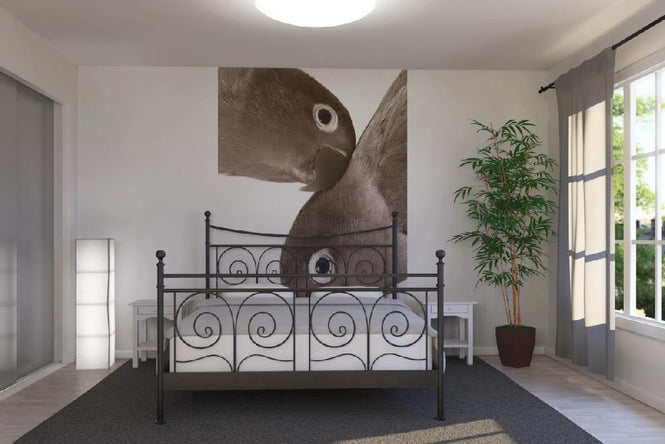 PHOTOWALL / Pair of Lovebirds - Sepia (e1577)