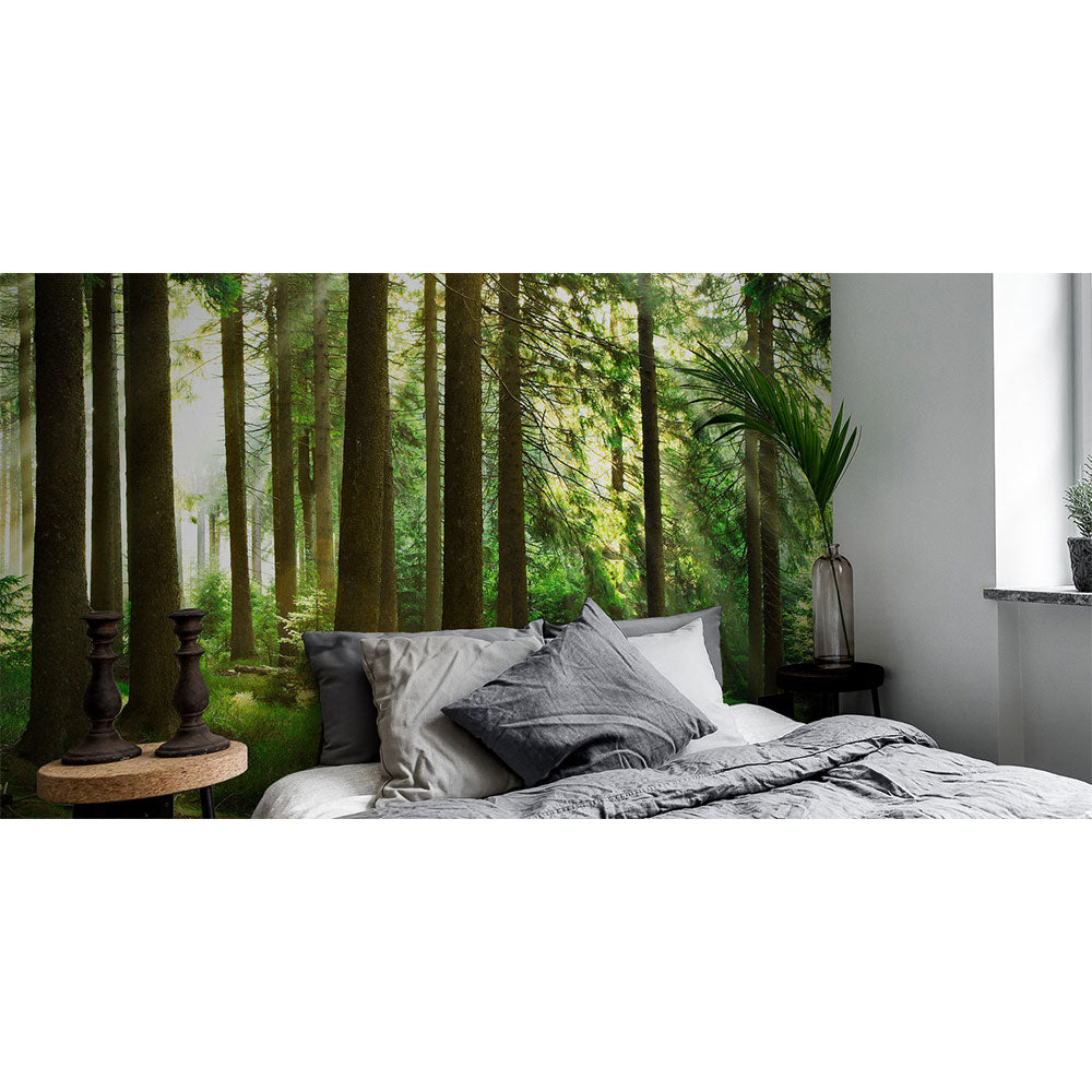 PHOTOWALL / Sunbeam through Trees (e1610) | 輸入壁紙専門店 WALPA