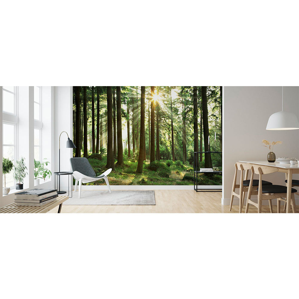 PHOTOWALL / Sunbeam through Trees (e1610) | 輸入壁紙専門店 WALPA