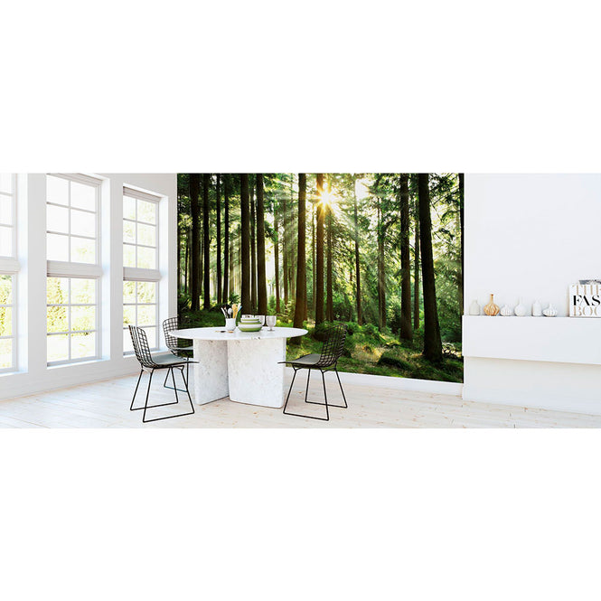 PHOTOWALL / Sunbeam through Trees (e1610)