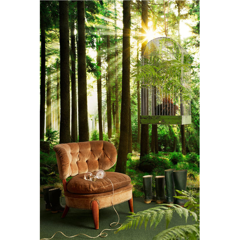 PHOTOWALL / Sunbeam through Trees (e1610) | 輸入壁紙専門店 WALPA