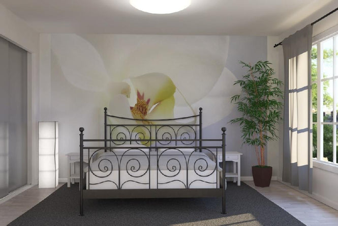 PHOTOWALL / White Orchid (e1646)