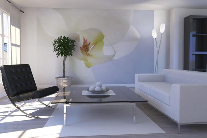 PHOTOWALL / White Orchid (e1646)
