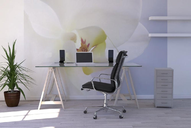 PHOTOWALL / White Orchid (e1646)