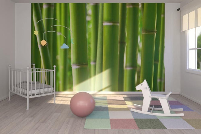PHOTOWALL / Zen Bamboo (e1802)