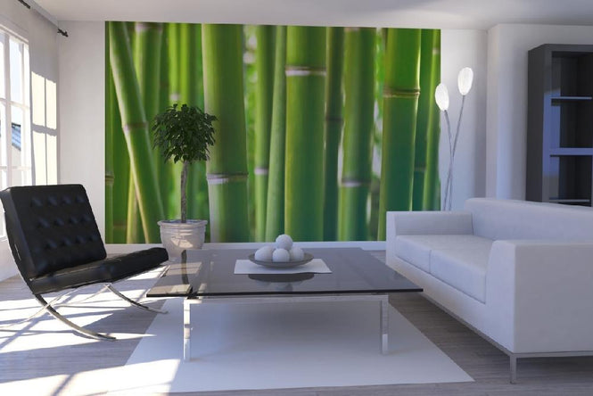 PHOTOWALL / Zen Bamboo (e1802)