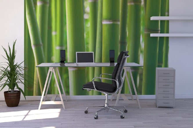PHOTOWALL / Zen Bamboo (e1802)