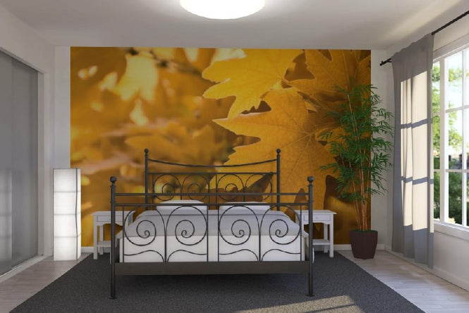 PHOTOWALL / Yellow Leaves (e1835)