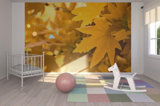 PHOTOWALL / Yellow Leaves (e1835)