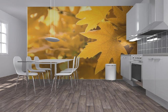 PHOTOWALL / Yellow Leaves (e1835)