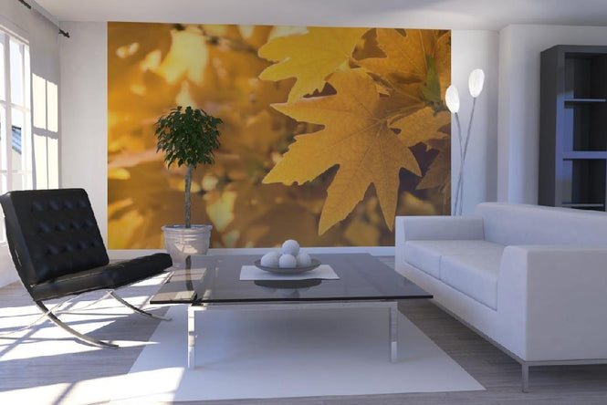 PHOTOWALL / Yellow Leaves (e1835)