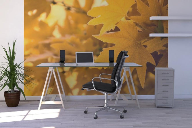 PHOTOWALL / Yellow Leaves (e1835)