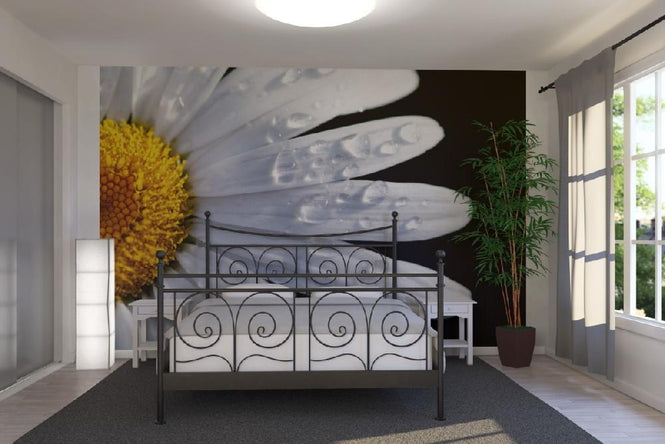 PHOTOWALL / Daisy Close up (e1842)