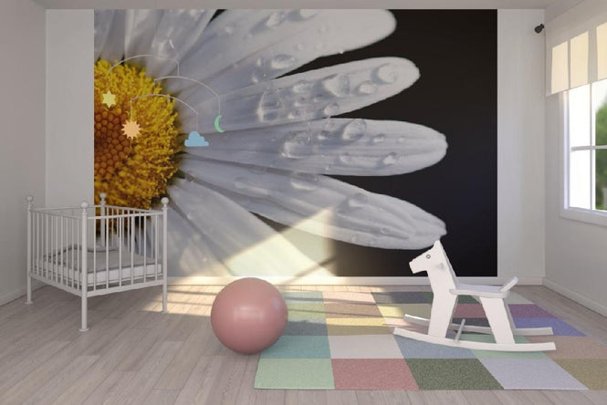 PHOTOWALL / Daisy Close up (e1842)